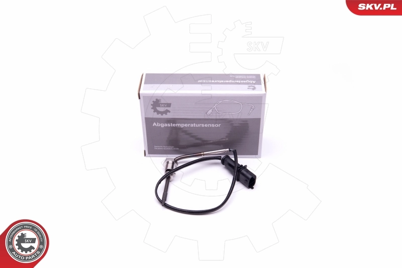 Sensor, exhaust gas temperature